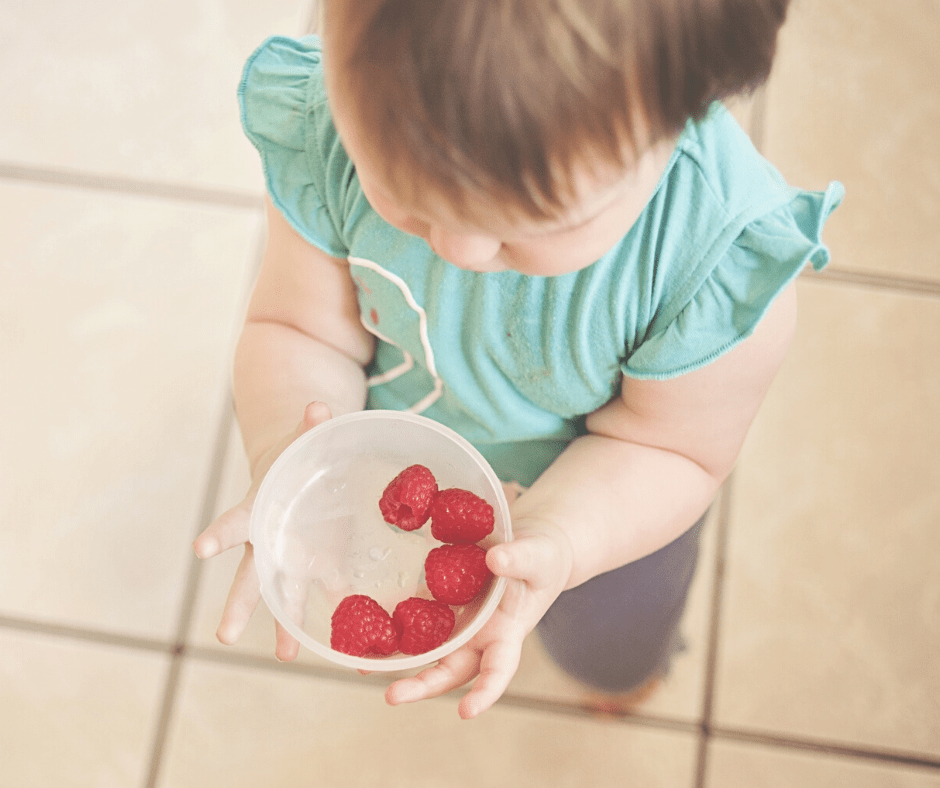 Little child in light blue shirt holds a small white bowl with 5 raspberries